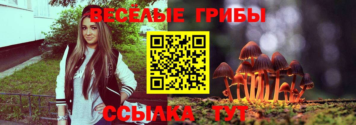 Галлюциногенные грибы Magic Shrooms  Вход с VPN  Жигулёвск 